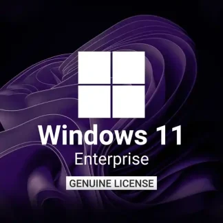 Windows 11 Enterprise Operating System